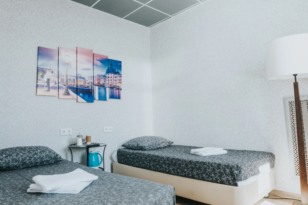Standard Double room with city view (twin beds)
