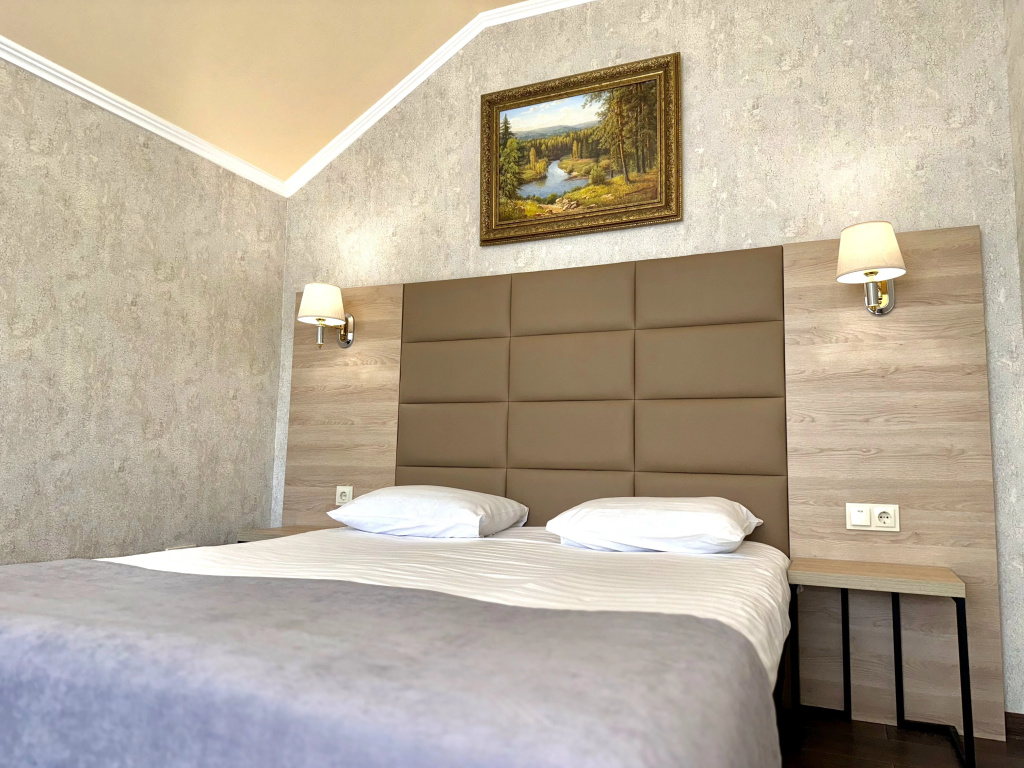 Hotel Astoria Room Type - Standard Double room full double bed