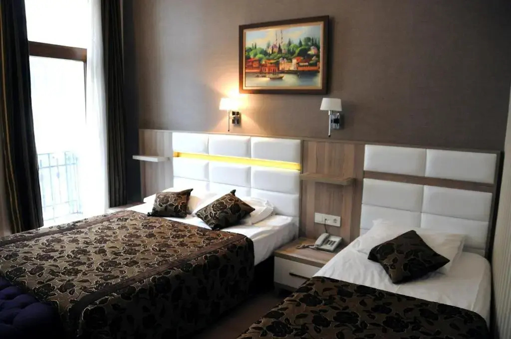 Standard Triple room with view