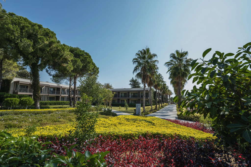 Paloma Orenda — фото 4