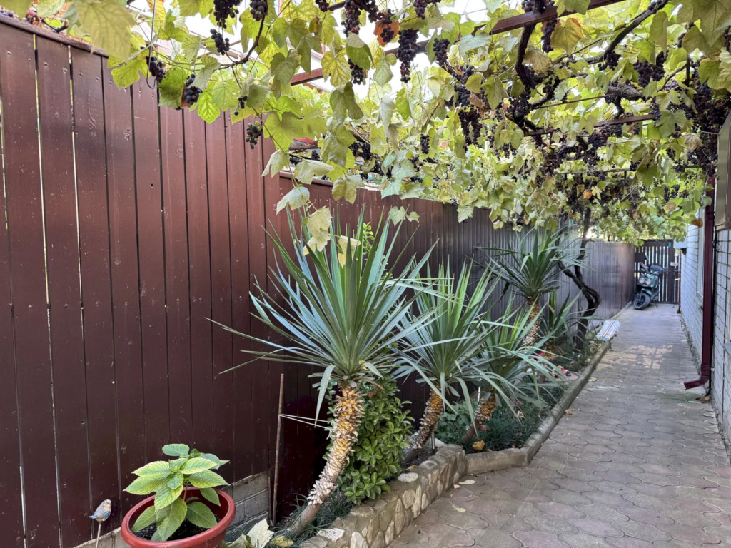 Апартаменты с 3 комнатами с красивым видом из окна в Как дома