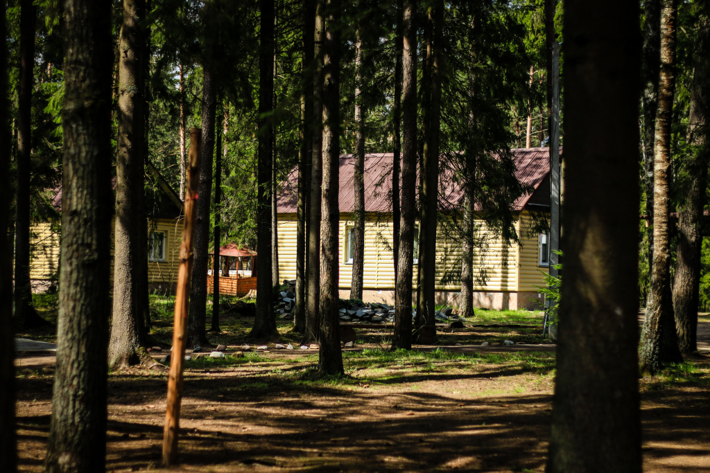 Купить Дом В Жуков Луг