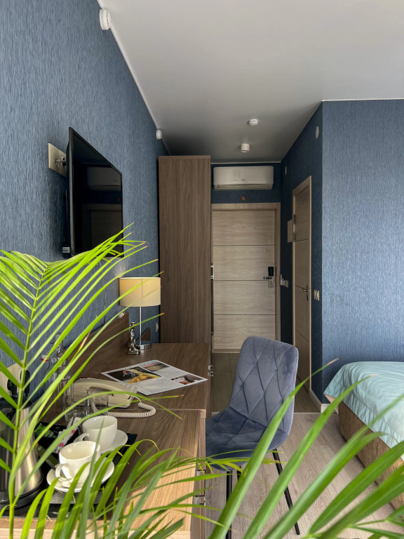 Двухместный номер Standard с балконом и с красивым видом из окна 2 отдельные кровати в Sokol