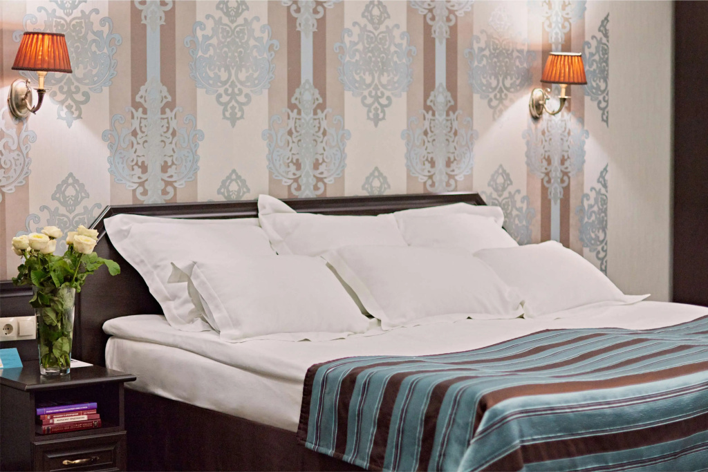 Graf Tolstoy Hotel Room Type - Double Studio with city view full double bed