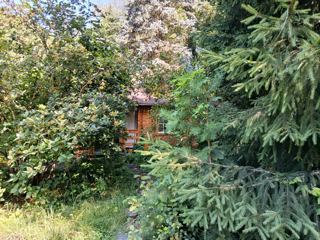 Апартаменты c 1 комнатой в Вайн Гарден