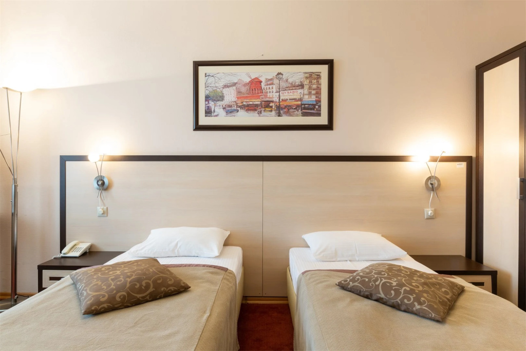 Standard Double room (twin beds)