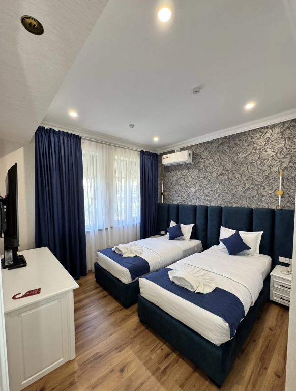 Standard Double room (twin beds)