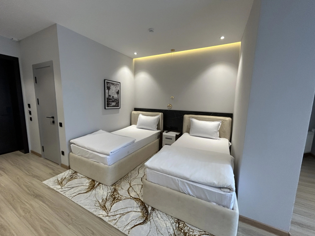 Superior Double room (twin beds)