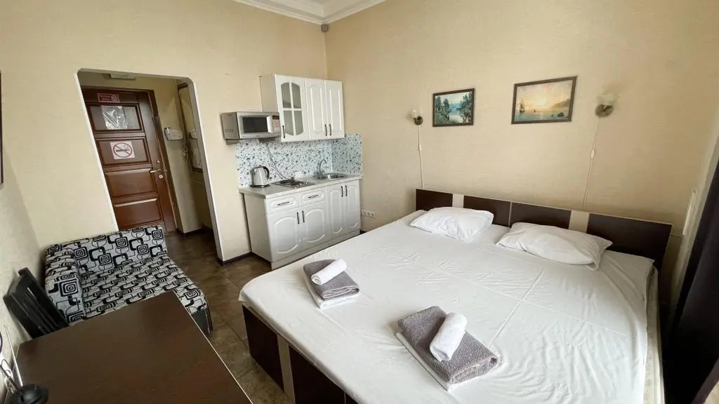 Standard Apartment with balcony and with view