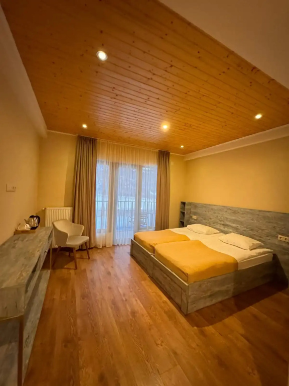 Standard room with balcony and with mountain view