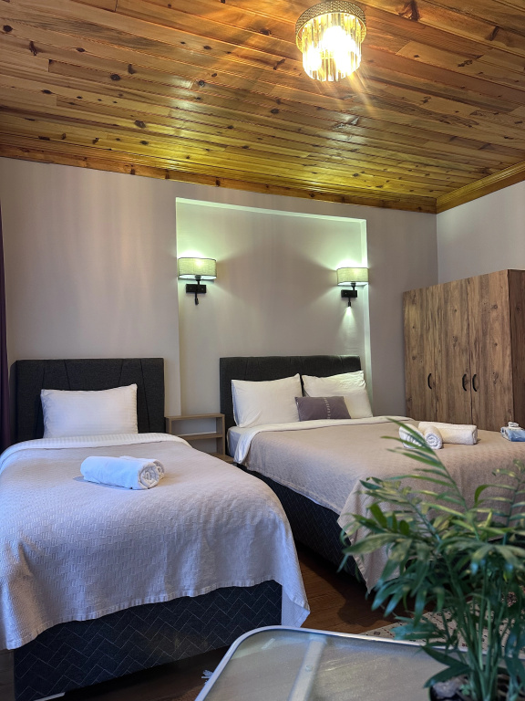Comfort Triple room with view
