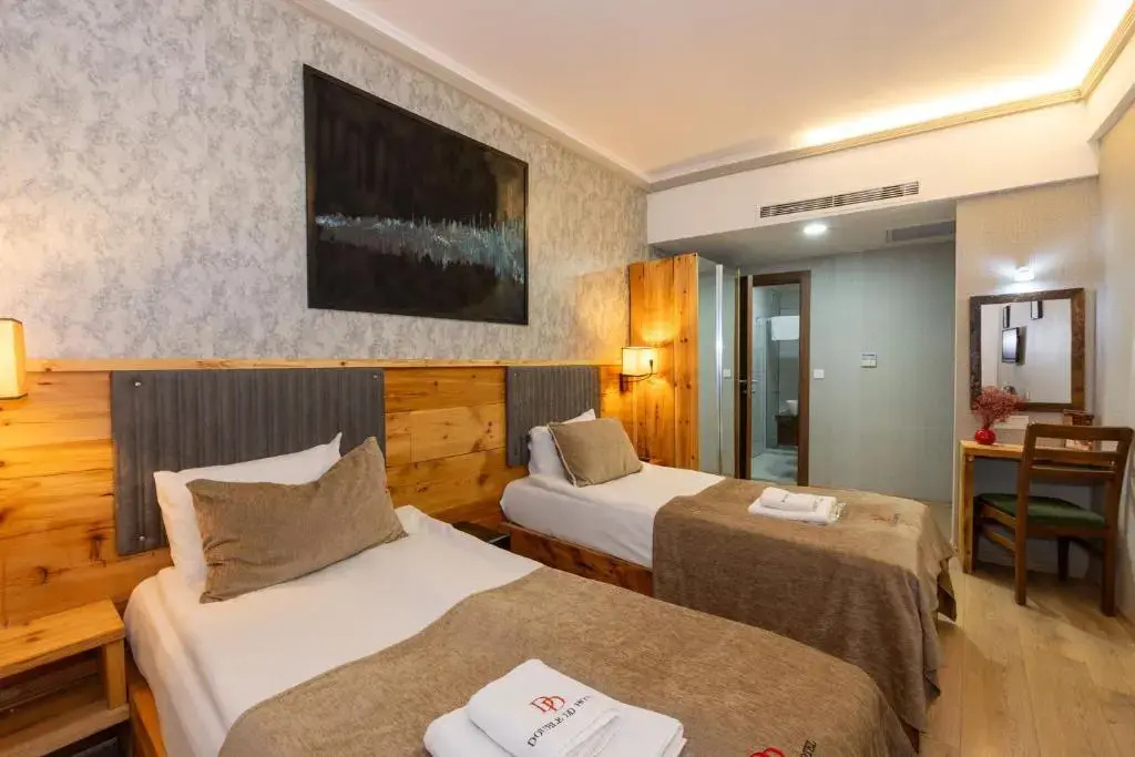 Standard Double room (twin beds)