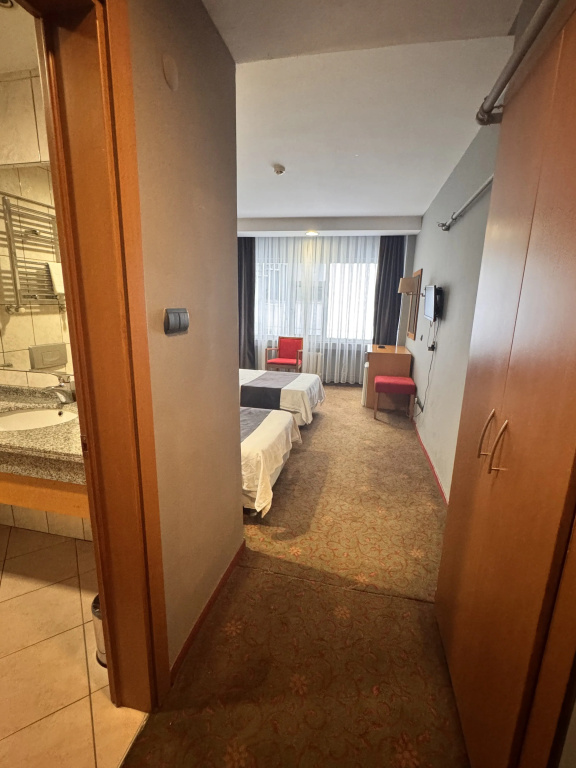 Standard Double room with mountain view (twin beds)