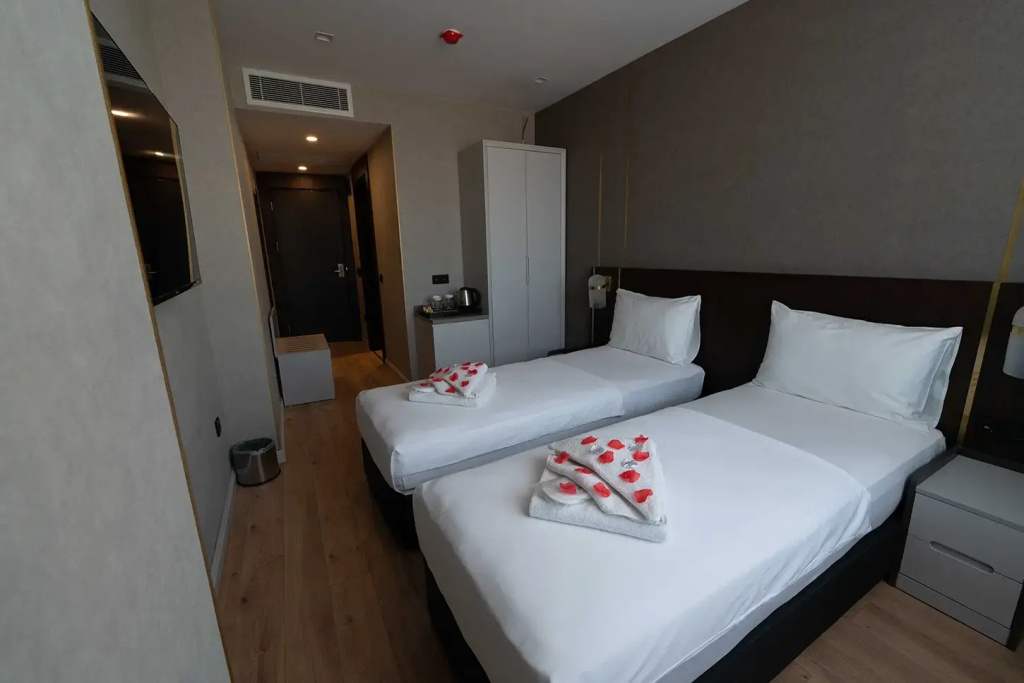 Standard Double room with city view (twin beds)