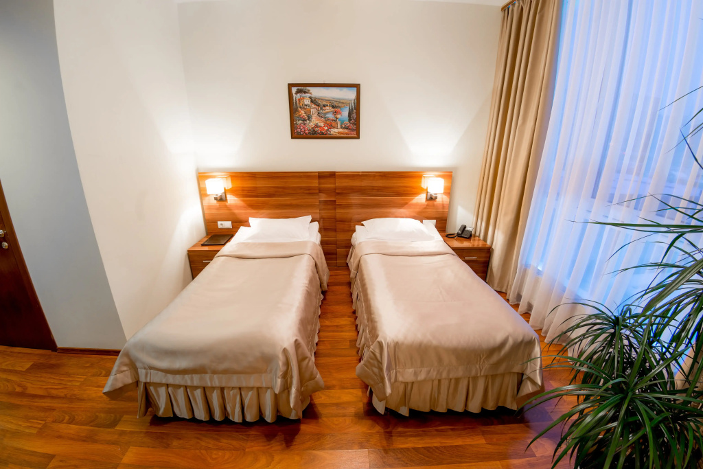 Metropolis Hotel Room Type - Standard Double room with city view full double bed