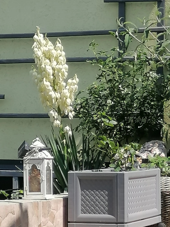 Частный Дом на Вишневом Переулке 19 - фото 42