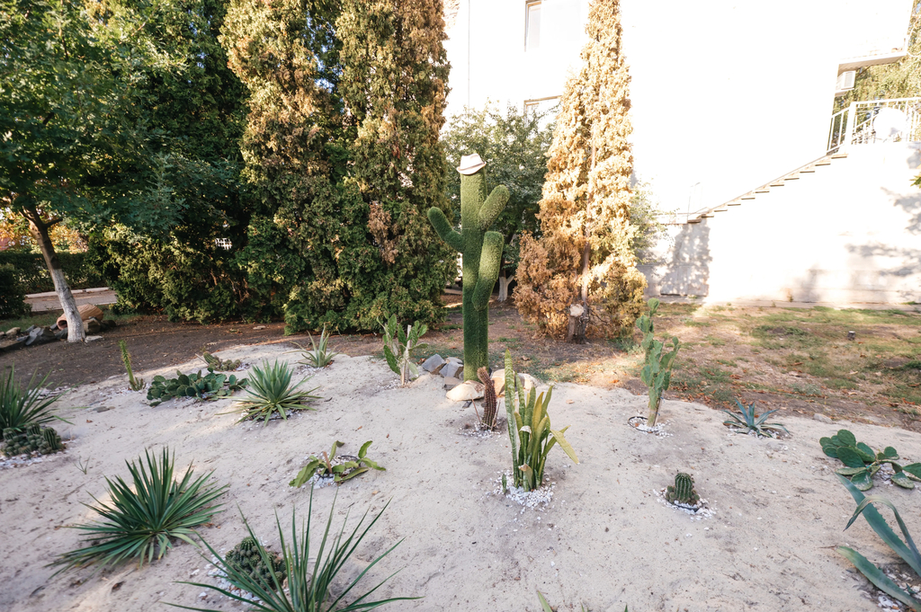 Парк-отель Южный берег - фото 8