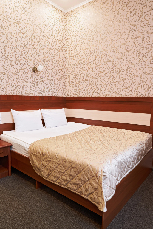 Empire Park Hotel Room Type - Standard Double room with courtyard view full double bed