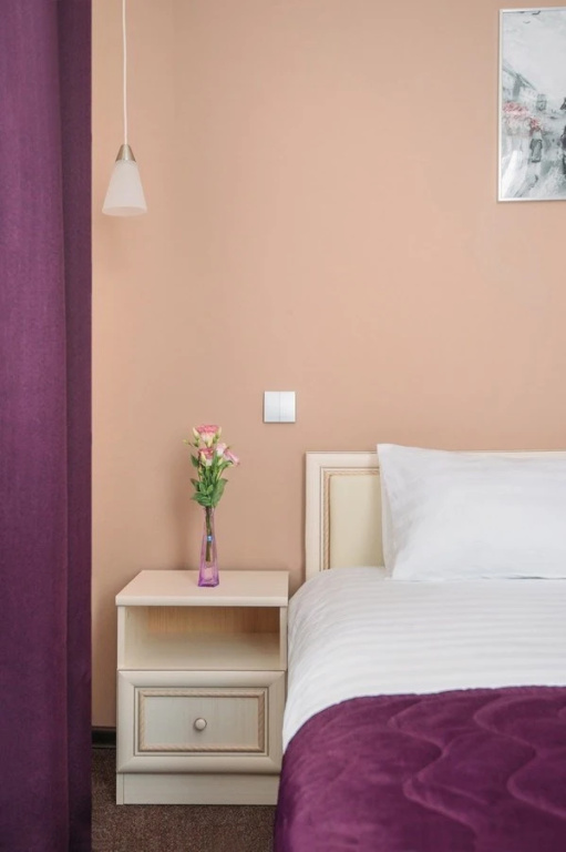 Ring Road Hotel Room Type - Standard with projection design Double room full double bed