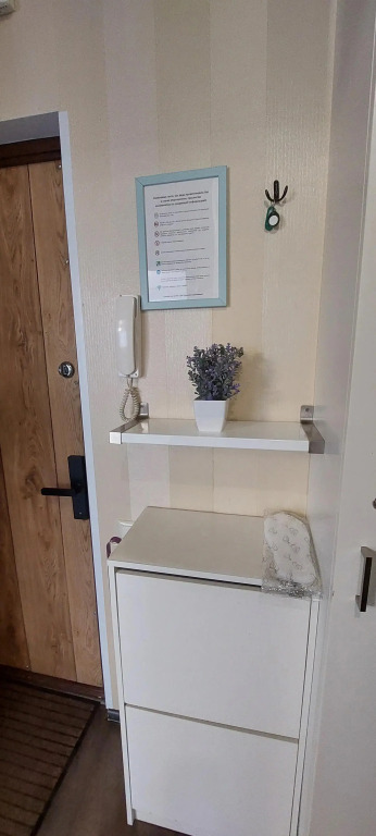 Апартаменты на Ломоносова - фото 28