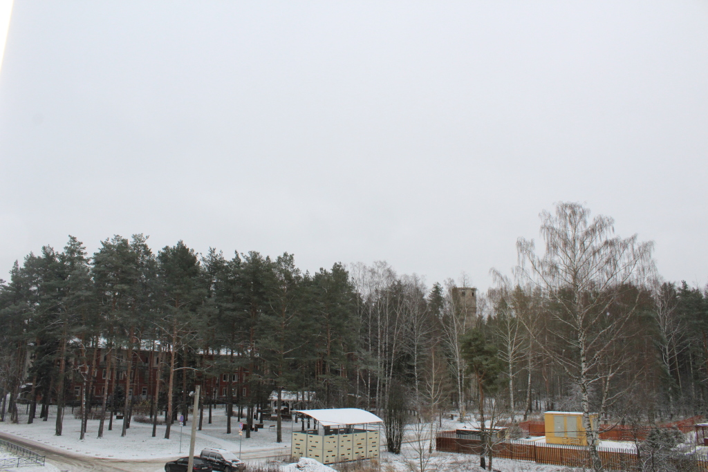 снять квартиру в поселке песочном. яндекс маркет поселок песочный.
