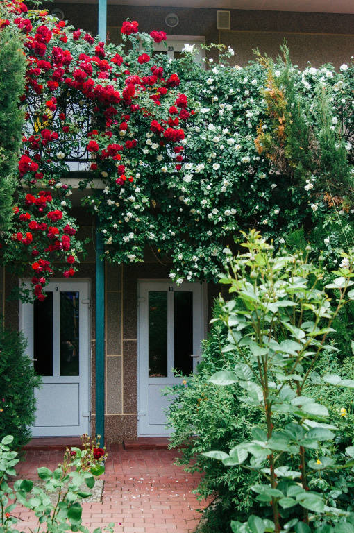 Гостиница Качинская - фото 31