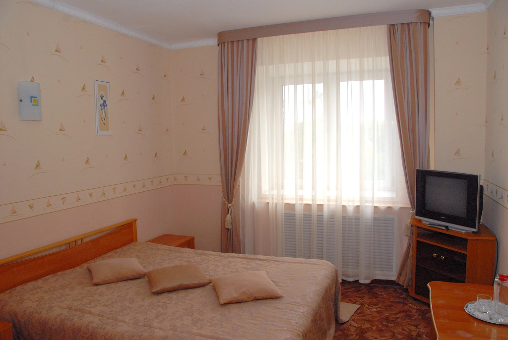 Standard Double room with city view full double bed