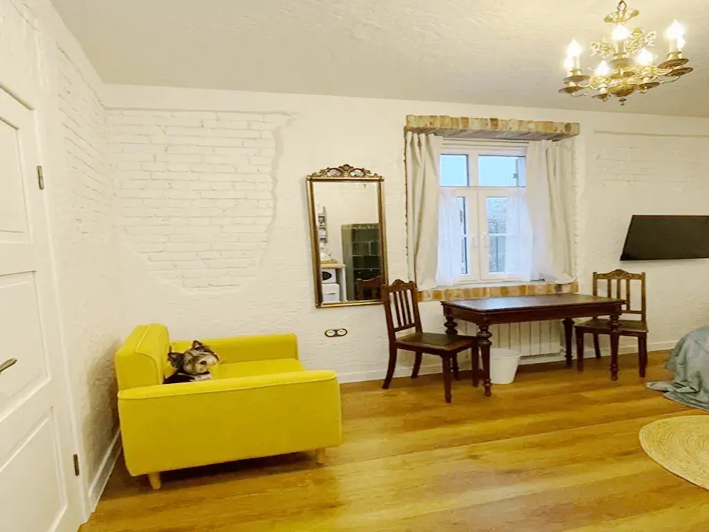 Апартаменты на Дорожном переулке 1 - фото 5