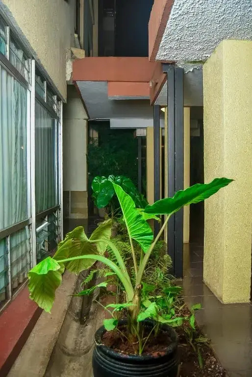 Ngong Hills Hotel - Général