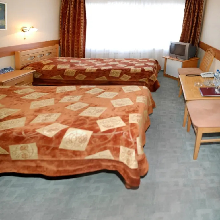 Standard Double room (twin beds)