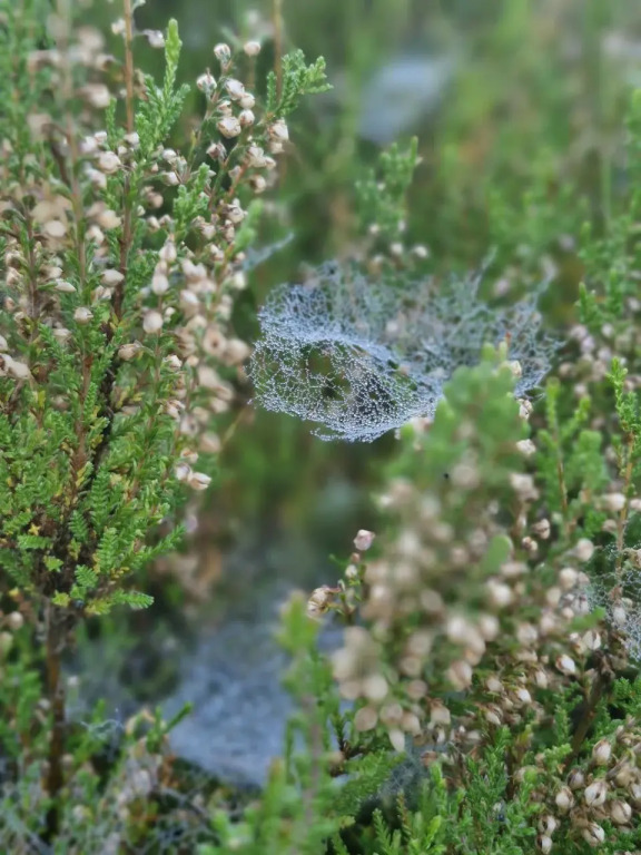 Частный дом Уединение в лесу - фото 22