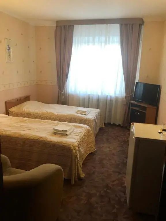 Standard Double room twin beds