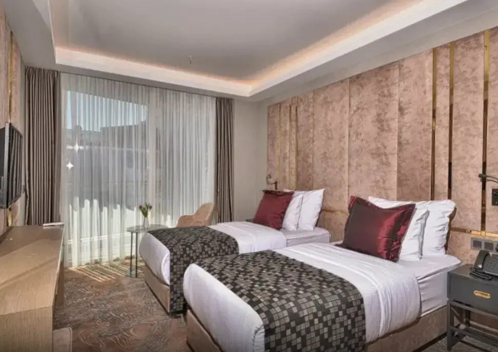 Standard Double room (twin beds)