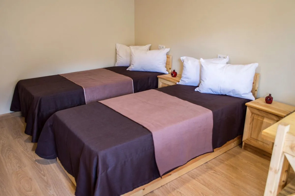 Standard Double room with balcony and with view (twin beds)