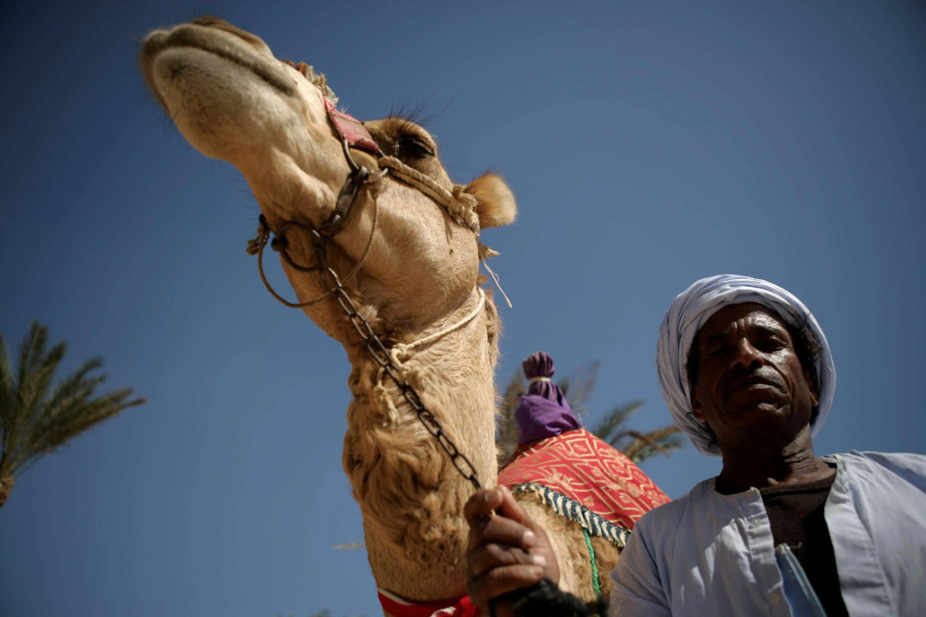 Курортный отель Flamenco Beach and Resort - фото 15
