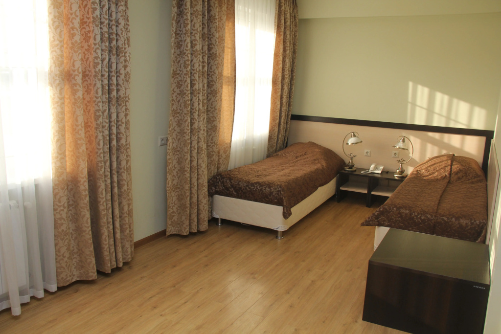 Comfort Double room with city view (twin beds)