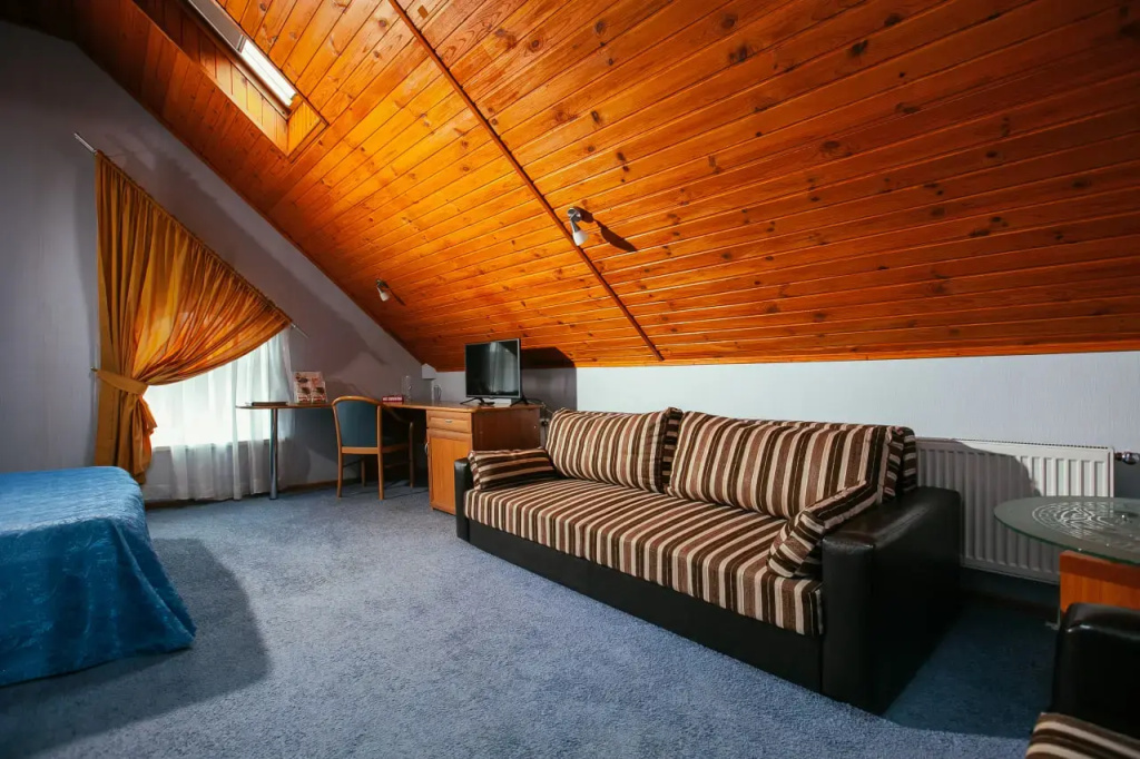 Bogorodsk & Spa Hotel Room Type - Sauna Double Junior Suite full double bed