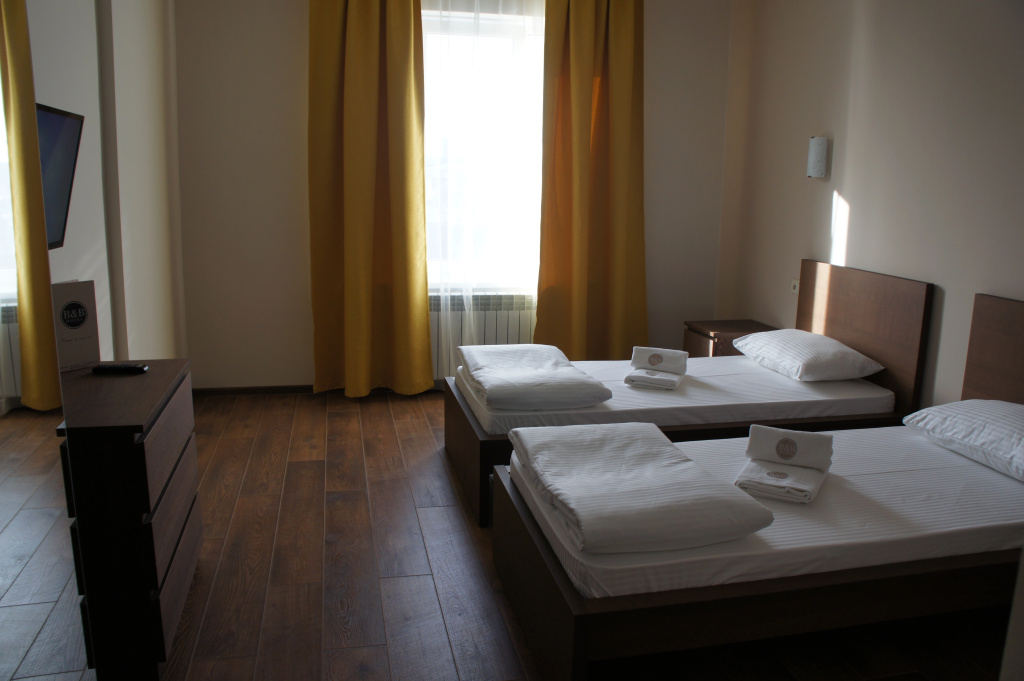 Comfort Double room (twin beds)