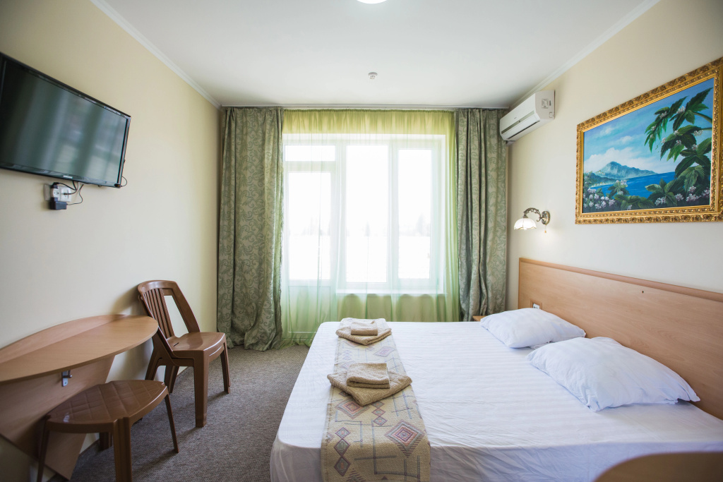 Standard Double room (full double bed)