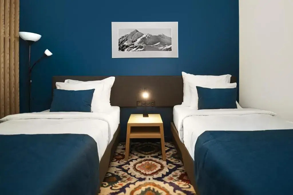 Standard Double room (twin beds)