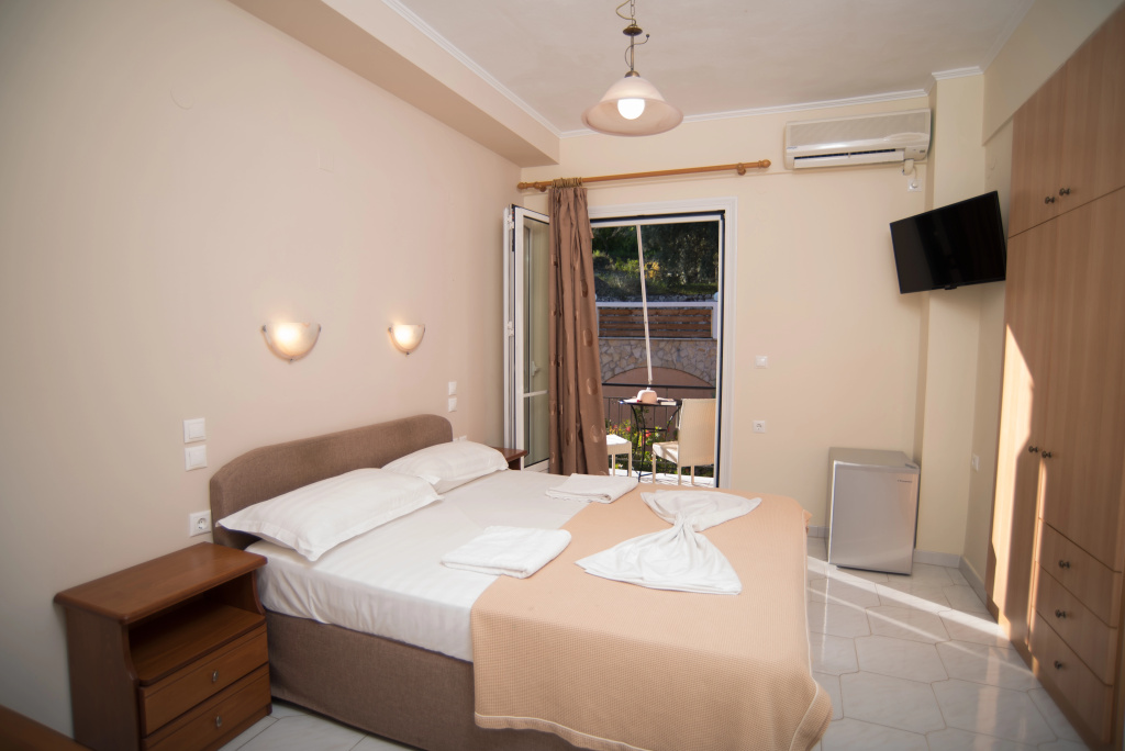 Standard Double room with mountain view (full double bed)