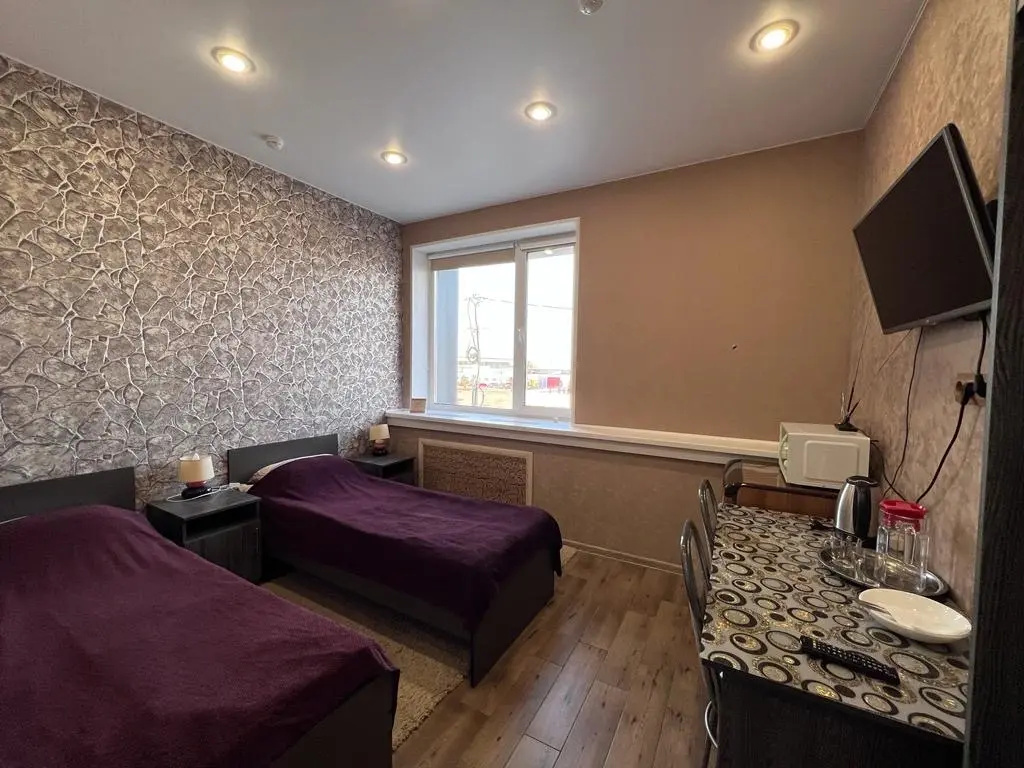 Standard Double room with city view (twin beds)