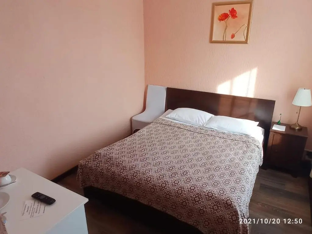 Standard Double room with view (full double bed)