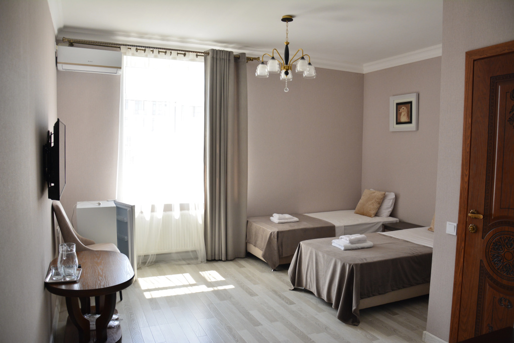 Standard Double room (twin beds)
