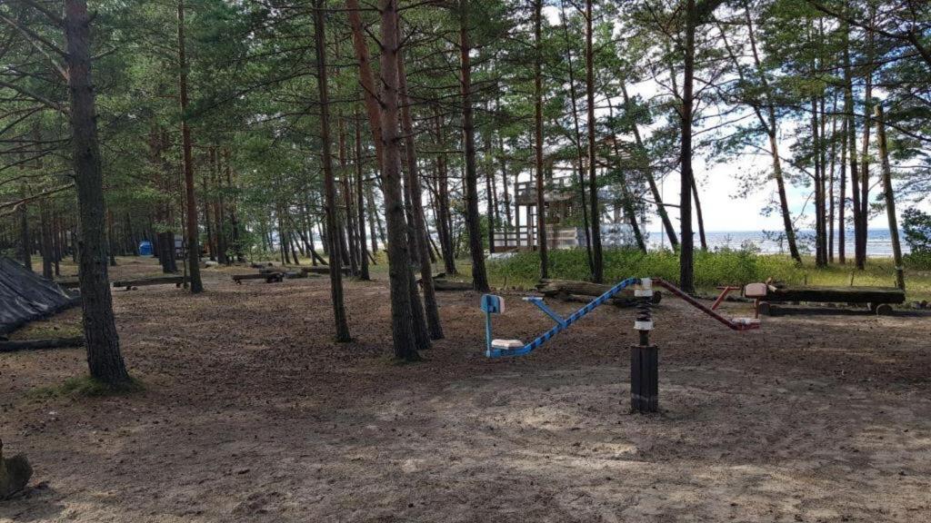 Wind Hunters Station Ленинградская область, Сосновый Бор. Сосновый Бор серф. Кемпинг Сосновый Бор Песчаное. Сёрф пикник Сосновый Бор. Погода на месяц сосновый бор ленинградская область