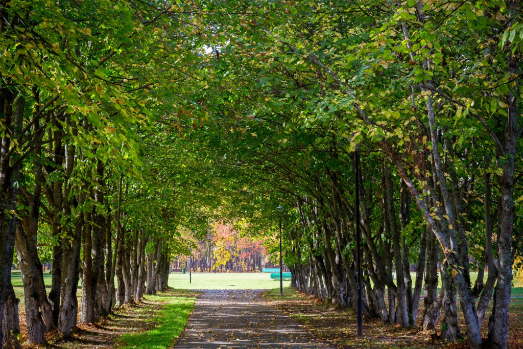 Пансионат Поляны - фото 5