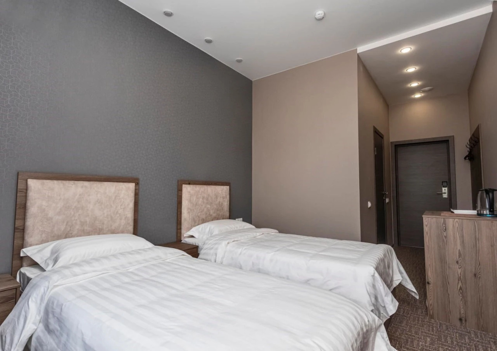 Standard Double room (twin beds)