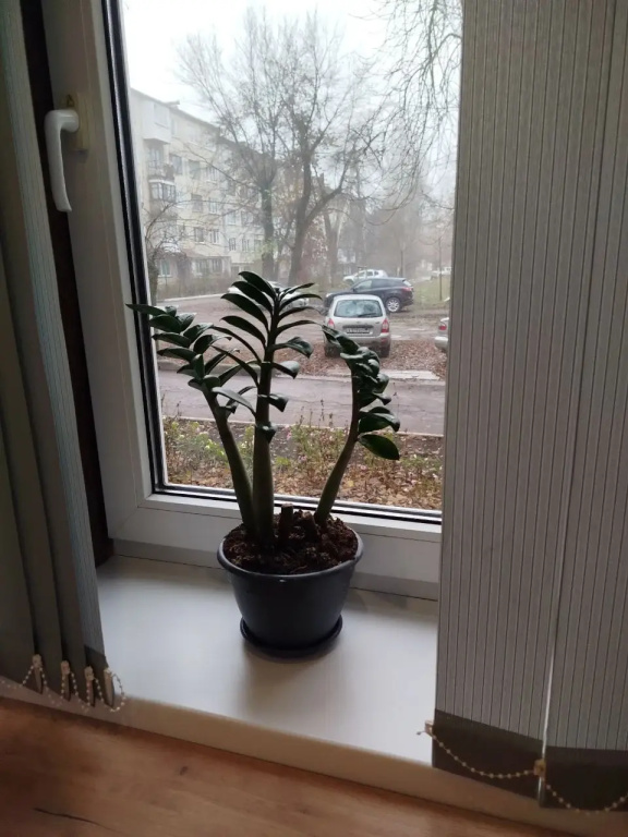 V Tsentre S Novym Konditsionerom Flat