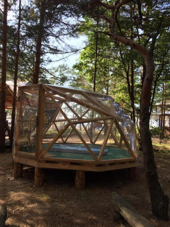 Wind Hunters Surf Station Сосновый