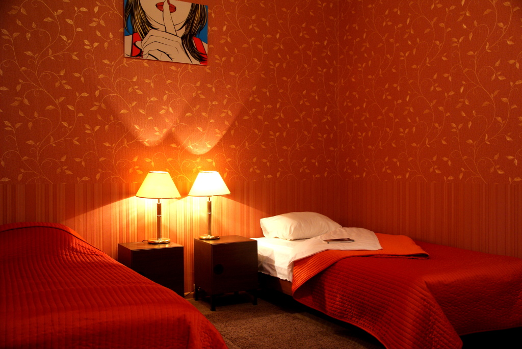 Sverchkov 8 Hotel Room Type - Standard Double room twin beds